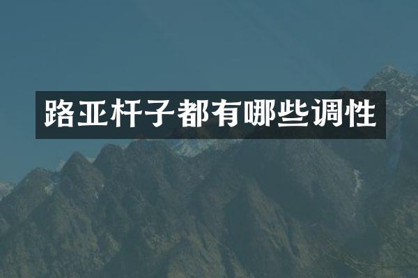 路亚杆子都有哪些调性