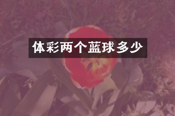 体彩两个蓝球多少
