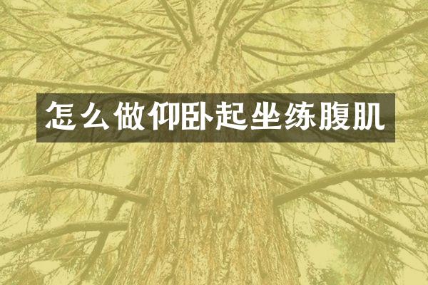 怎么做仰卧起坐练腹肌