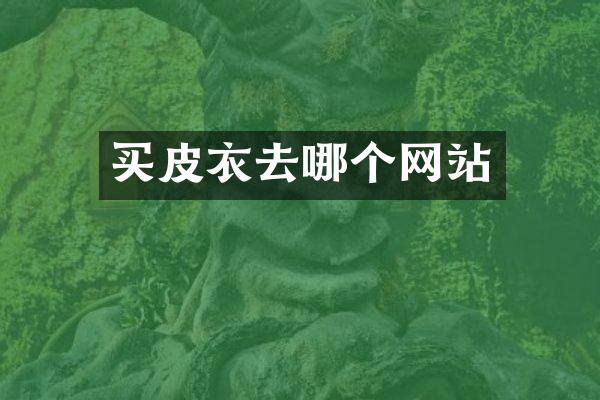 买皮衣去哪个网站