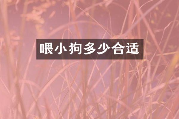 喂小狗多少合适
