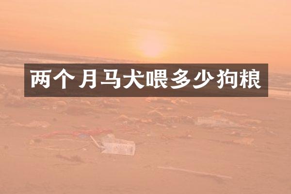 两个月马犬喂多少狗粮