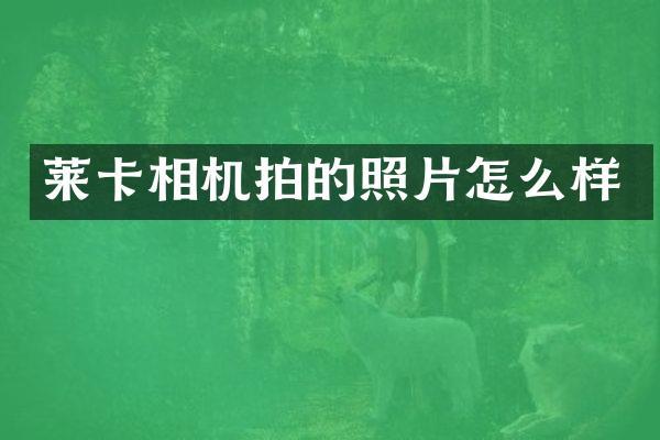 莱卡相机拍的照片怎么样