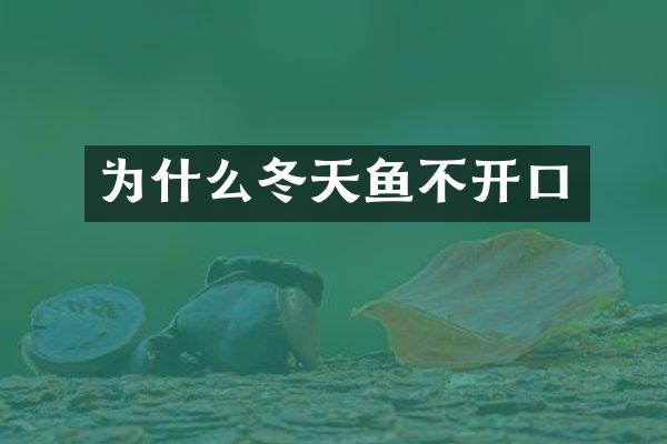 为什么冬天鱼不开口