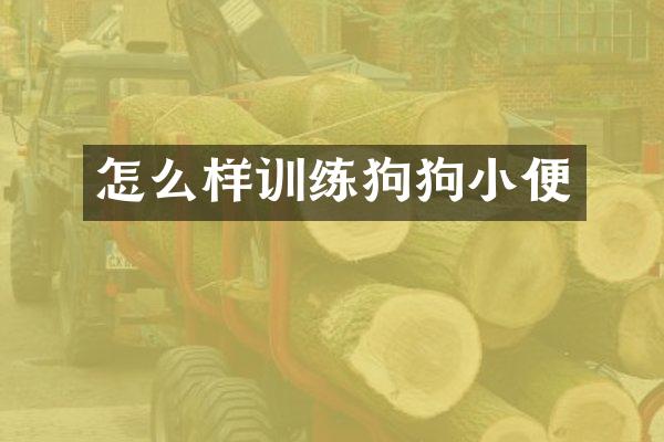 怎么样训练狗狗小便