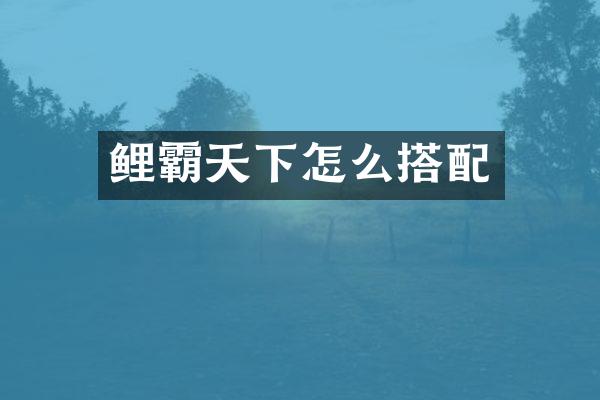 鲤霸天下怎么搭配