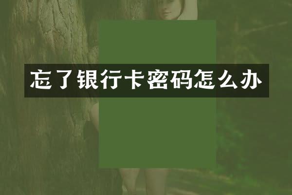 忘了银行卡密码怎么办