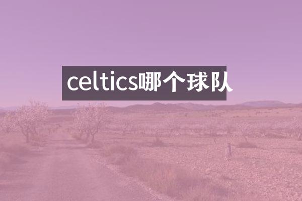 celtics哪个球队
