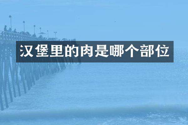 汉堡里的肉是哪个部位