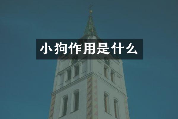 小狗作用是什么