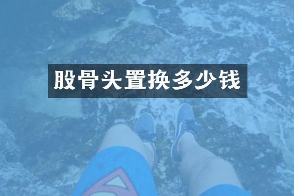 股骨头置换多少钱