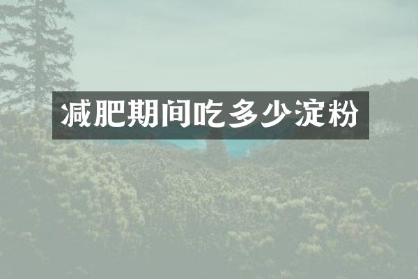 减肥期间吃多少淀粉