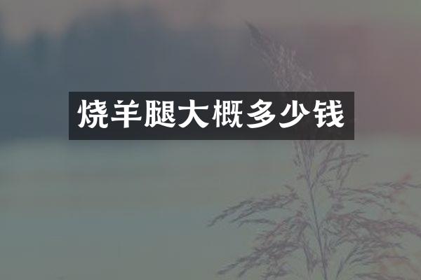 烧羊腿大概多少钱
