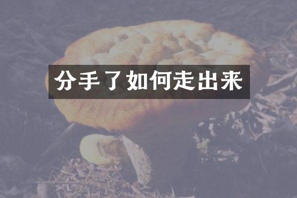 分手了如何走出来