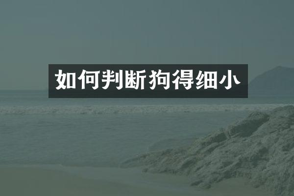 如何判断狗得细小
