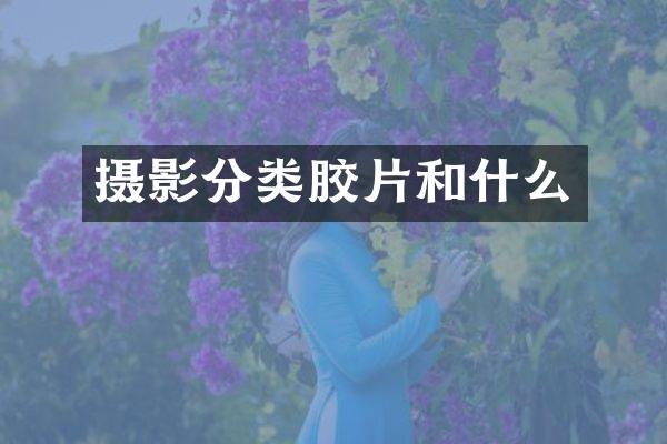 摄影分类胶片和什么