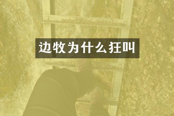 边牧为什么狂叫