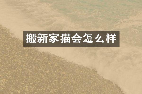 搬新家猫会怎么样