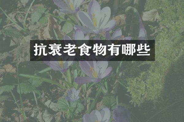 抗衰老食物有哪些