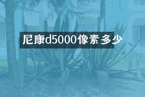 尼康d5000像素多少