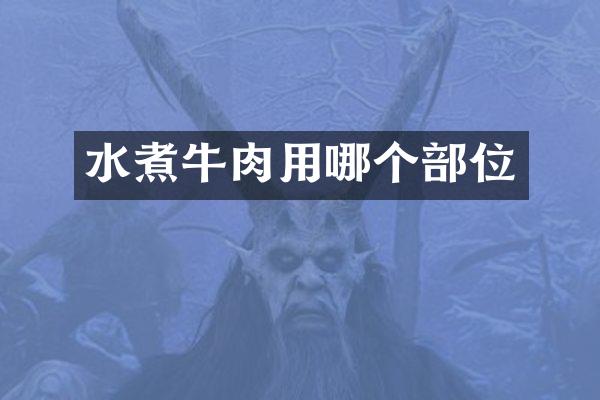 水煮牛肉用哪个部位