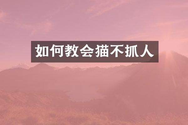 如何教会猫不抓人