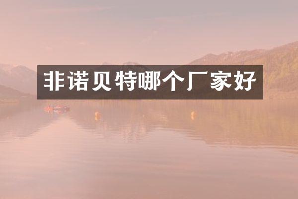 非诺贝特哪个厂家好