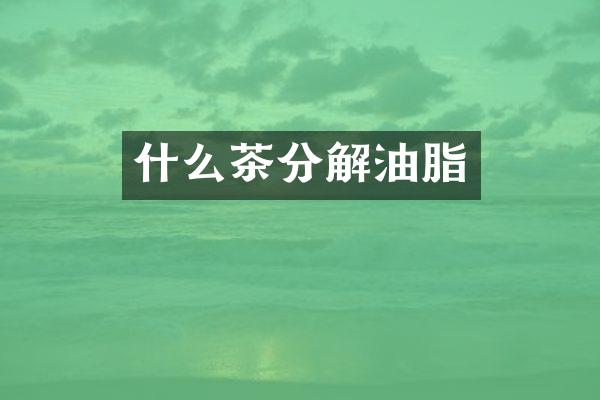 什么茶分解油脂