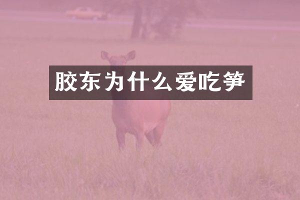 胶东为什么爱吃笋