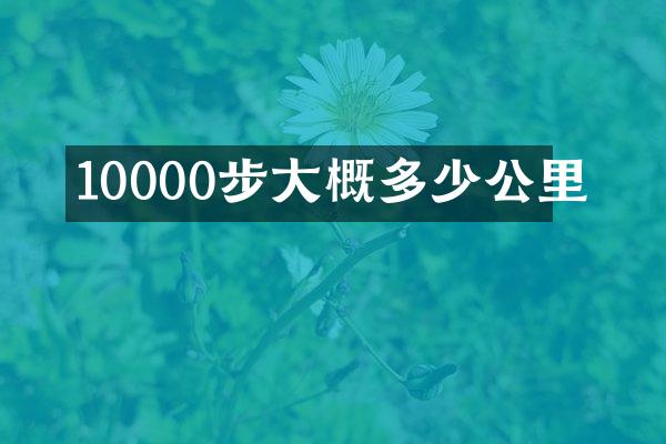 10000步大概多少公里