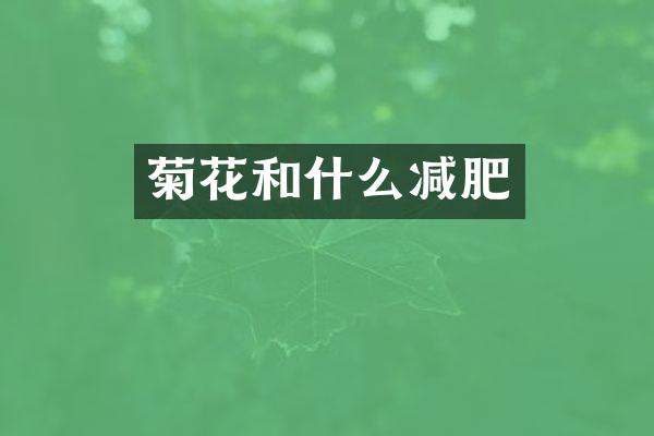 菊花和什么减肥