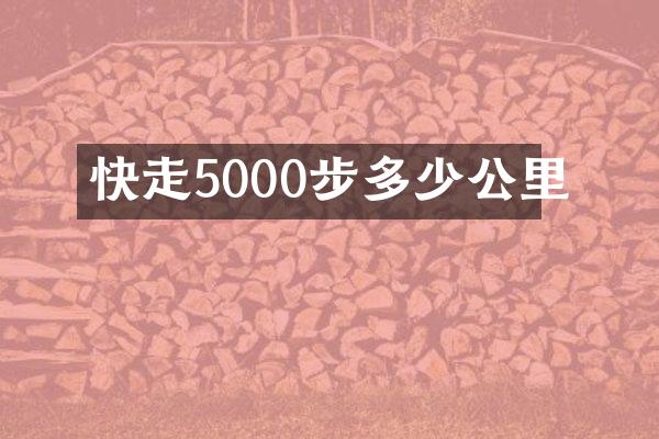 快走5000步多少公里