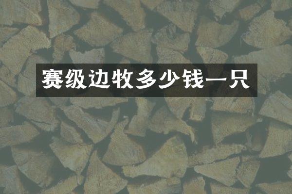赛级边牧多少钱一只