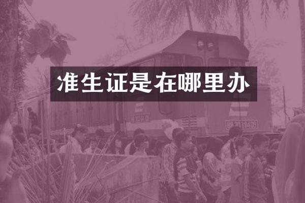 准生证是在哪里办