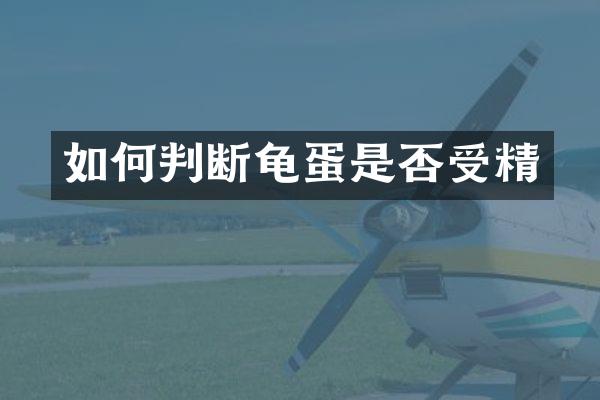 如何判断龟蛋是否受精