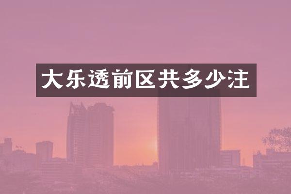 大前区共多少注
