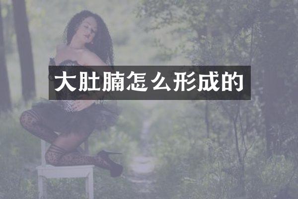 大肚腩怎么形成的