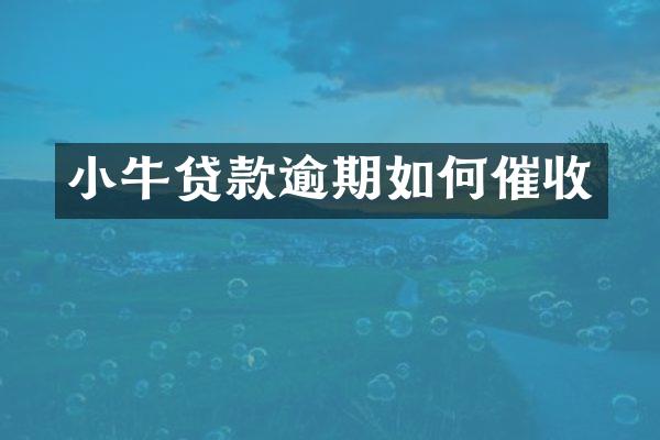 小牛贷款逾期如何催收
