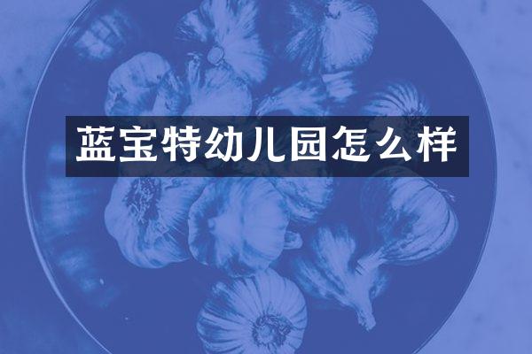蓝宝特幼儿园怎么样