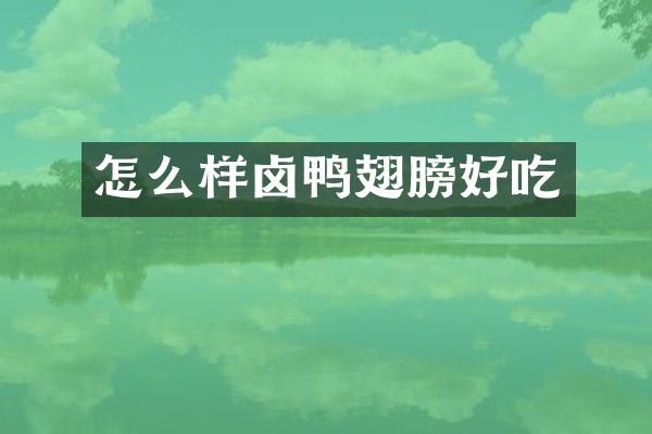 怎么样卤鸭翅膀好吃