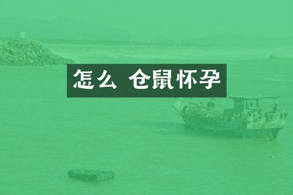 怎么 仓鼠怀孕
