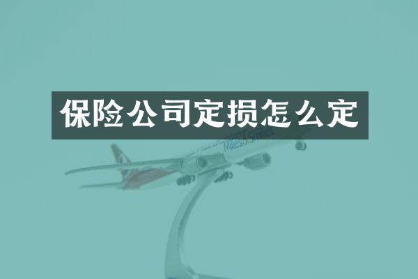 保险公司定损怎么定