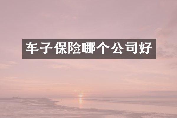 车子保险哪个公司好