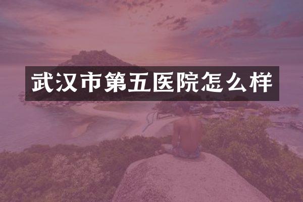 武汉市第五医院怎么样
