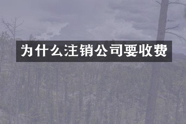 为什么注销公司要收费