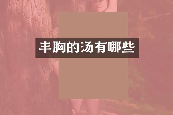 丰胸的汤有哪些