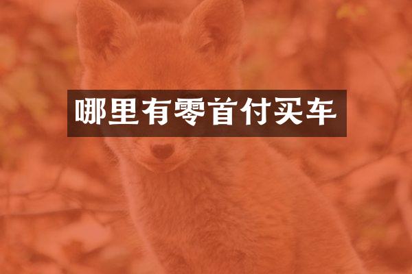 哪里有零首付买车