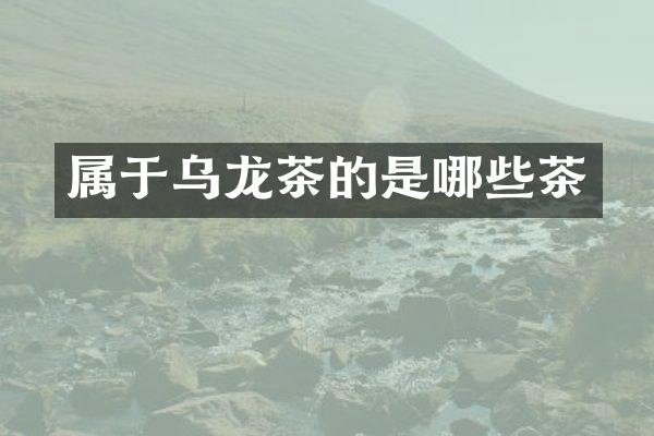 属于乌龙茶的是哪些茶