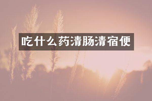 吃什么药清肠清宿便