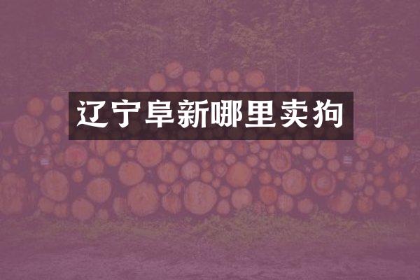 辽宁阜新哪里卖狗